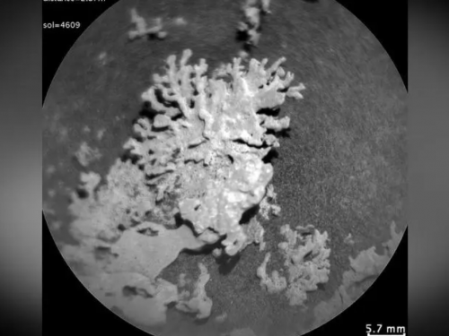 NASA好奇號發現火星上數十億年前「珊瑚」