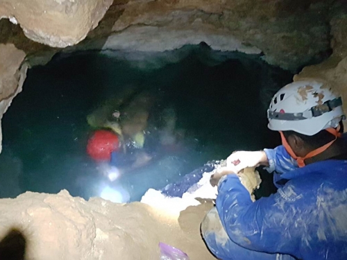打開550萬年前的洞穴，科學家發現“外星世界”，顛覆生命認知