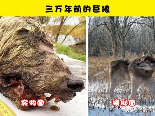 科學發現：科學家們在冰層裡發現的9個意義重大的事物