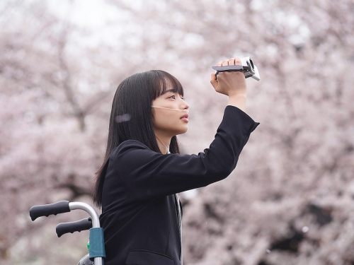 集結小松菜奈、坂口健太郎！《餘命10年》改編作者親身經歷　日本上映狂賣 28.6 億！