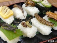 泰國蟲蟲壽司全餐　蟑螂軍艦上桌你還有胃口？