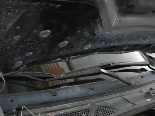 驚喜！BMW引擎室竟有鳥窩 資深鳥友嘆：親鳥恐難回頭