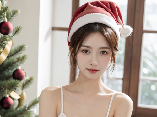 Christmas Style