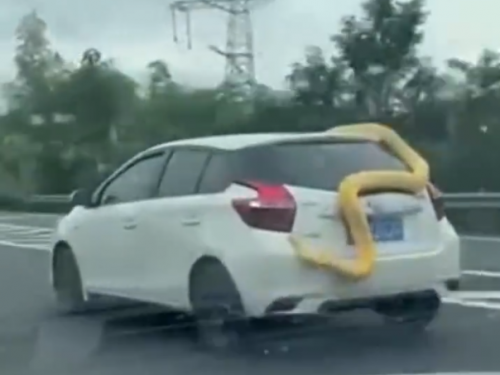 「巨無霸黃金蟒」死纏轎車！ 高速公路狂飆後慘摔