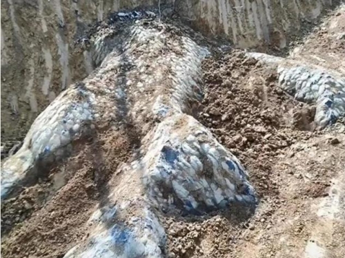 恐龍化石？修路挖出比人大「巨爪」 覆蓋青色鱗片