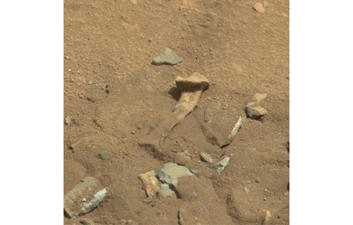 NASA火星照片驚現外星人大腿骨？