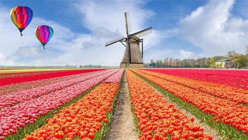 世界上最開放的國家是哪個？別的國家明令禁止的事，在這都能做
