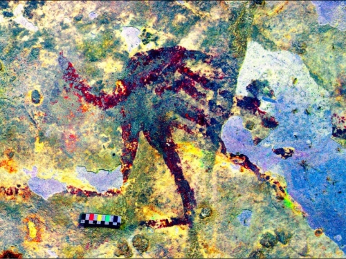 印尼洞穴壁畫 疑人類最早藝術作品