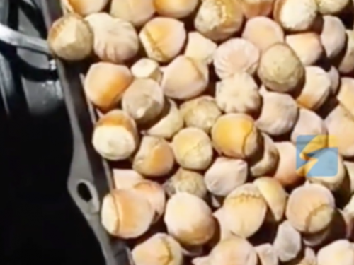 老鼠的冬天結束了！男開車聞異響 驚見引擎室變糧倉