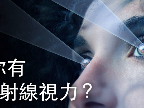 如果你擁有X射線視力？| 大膽科學
