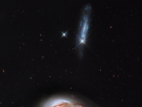Arp 142  企鵝星系