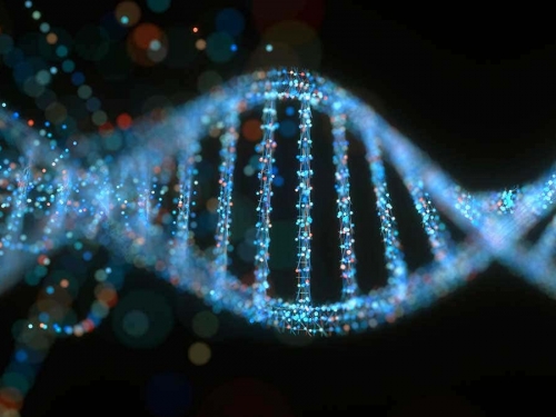 它能編輯自己的RNA，“外星生物”章魚，又被發現一“超能力”
