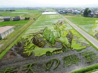 《2015年版稻田彩繪》星際大戰＋亂世佳人今年的田畫主題也太精采了吧