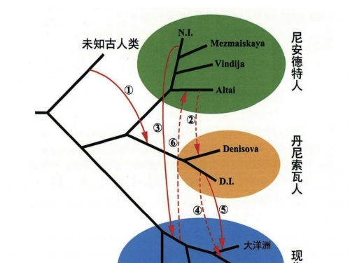 從丹尼索瓦人談人類的“二次進化”和可能的馬斯克“火星陰謀”