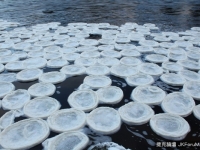 蘇格蘭迪河漂來白色大麵餅？　原來是「浮沫」凍成冰