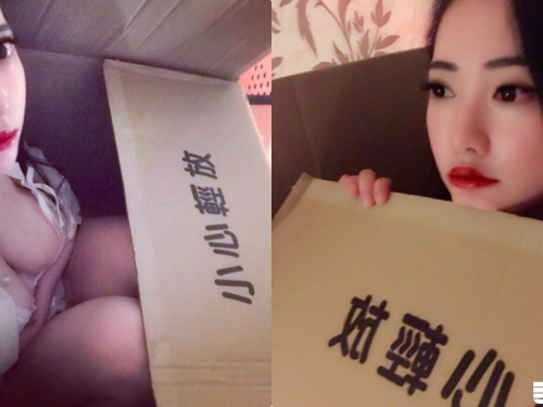 受不了～超萌貓女「乳量驚人」把自己裝到箱子裡，讓人好想直接打包回家呀～
