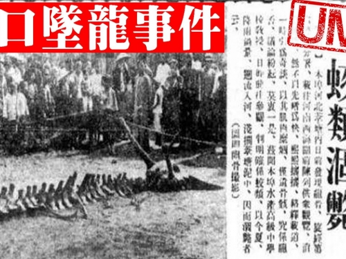 【UMA檔案】「龍」或許真的存在，1934年「營口墜龍事件」，東方龍的起源與可能性