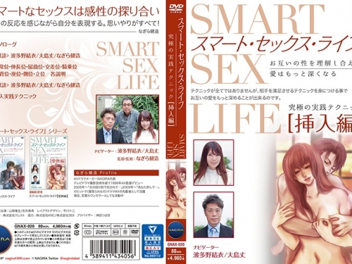 波多野結衣：スマート・セックス・ライフ挿入編 波多野結衣