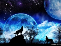 早睡身體好，晚睡心情好！明知傷身你為何還要熬夜？