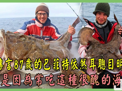 傳言87歲的巴菲特依然耳聰目明，就是因為常吃這種很醜的海魚