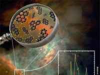 真的被霍金猜中了？！德國科學家竟真的發現半人馬座星有外星植物存在！