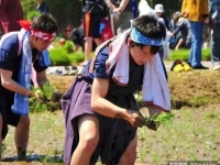 日本農民逆天了 種地都能種出逼格！