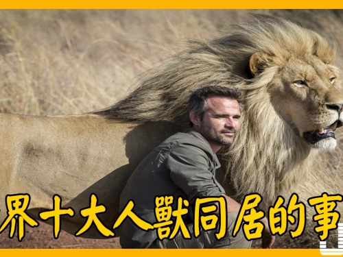 世界十大人獸同居的事件，看到最後讓人嚇尿了