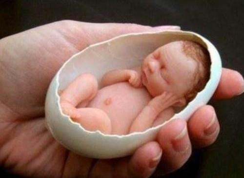 世界上最小的嬰兒？曾把蛋殼當搖籃，13年後她怎麼樣了？