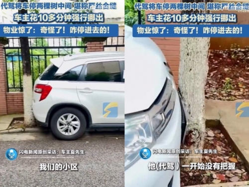 要求代駕「這樣停」 車主酒醒見狀：傻眼了！