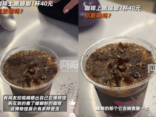 每杯196元！中國博物館「蟑螂粉咖啡」獵奇外型、口感轟動全網