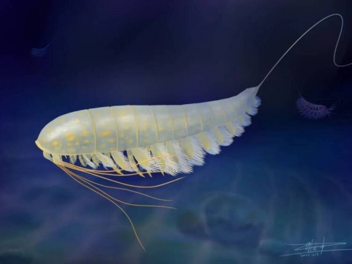 4.5億年前「黃金」海怪現身！罕見化石揭秘史前生物奧秘