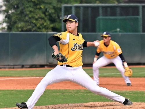 中職》兄弟去年選秀左投大核爆 台鋼雄鷹二軍獨走