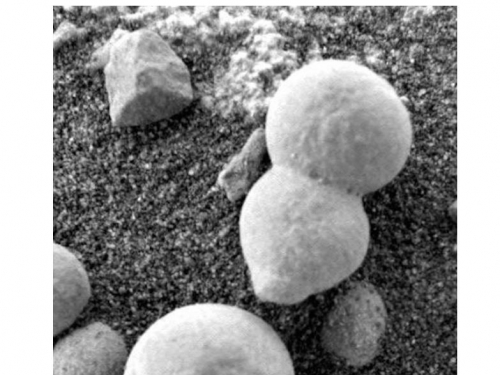 火星地表驚現「蘑菇」？最新探測圖引科學家熱議