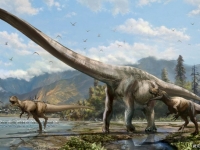 四川出土新種長頸龍化石　神似傳說中的中國龍