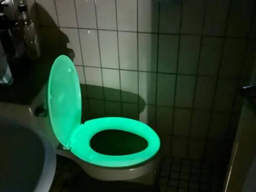 住1年才發現馬桶會發光 網笑：坐在上面直接變螢火蟲