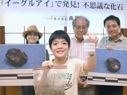 天生考古系 11歲童撿到怪石 竟來自4億年前