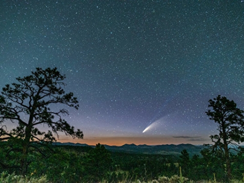 現在夜空中可見的彗星 或永遠不會重返太陽系