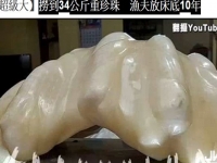 不識稀世珍寶！撈1顆34公斤珍珠值1億美元，菲律賓漁夫放床底擱置10年