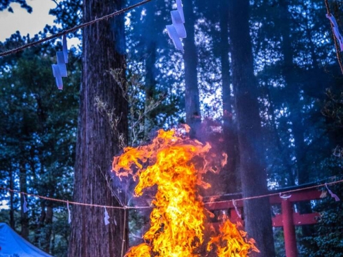 日本神社焚火儀式出現「奇景」 網驚呼︰炎龍降臨！