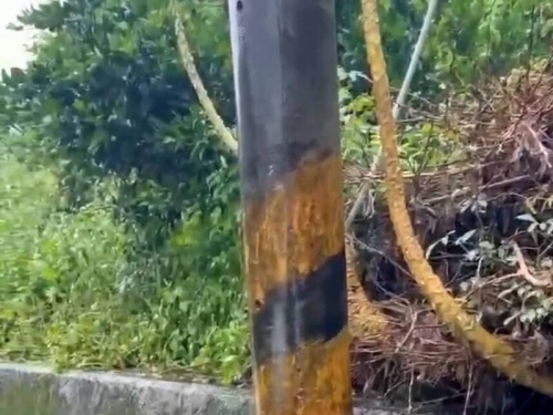 國外有尿尿小童 南投出現「尿尿電桿」！民眾好奇水從哪來的