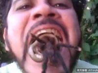 慎入！　巴西瘋狂男把狼蛛+蛇捲成壽司狀塞進嘴裡