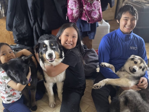 走失牧羊犬冰天雪地跋涉240公里 1個月後終於返家