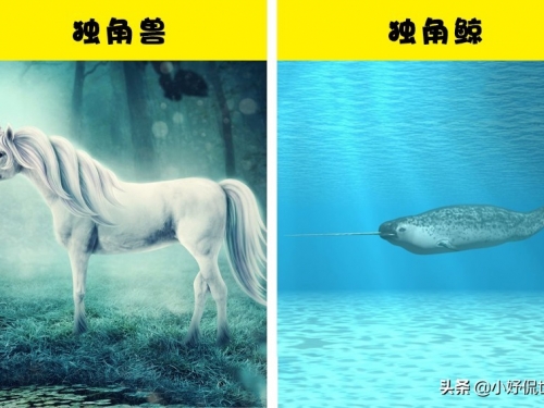與真實動物存在某些相似之處的8種神話生物