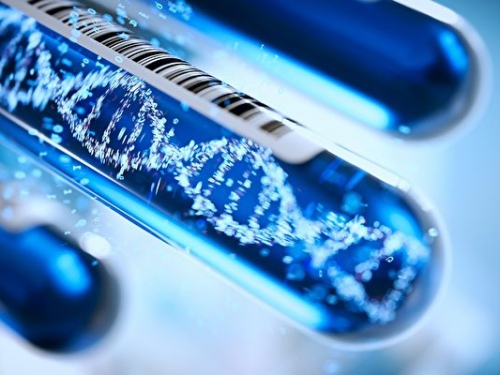 科學家成功提取150年前龍蝦標本DNA
