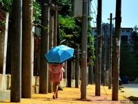 大開眼界！廣西人行道70根電線桿　如同進迷宮