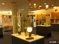 頭髮、寄生蟲、前情人物品！世界八間怪奇博物館