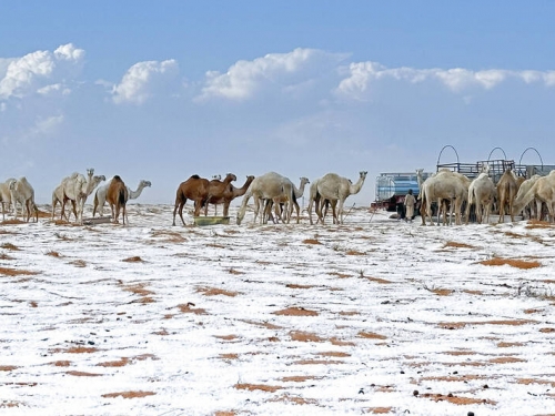 罕見！ 沙烏地阿拉伯西北部降雪 滾滾黃沙變銀白大地