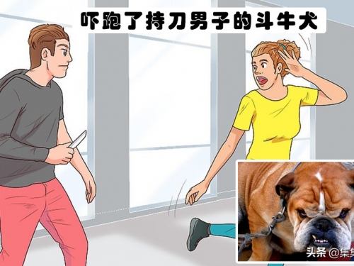 危急時刻 被意想不到的事物給拯救了性命的6個人類案例