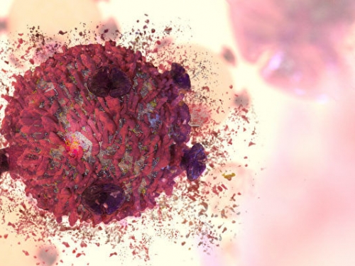 科學家發現讓癌細胞自我毀滅的新方法