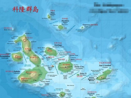 最奇葩的島嶼：地處赤道卻有企鵝，達爾文都在這裡驚掉了下巴